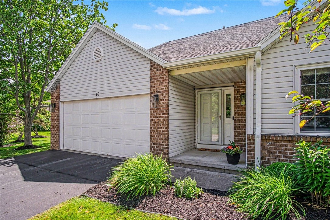 16 Daisy Lane