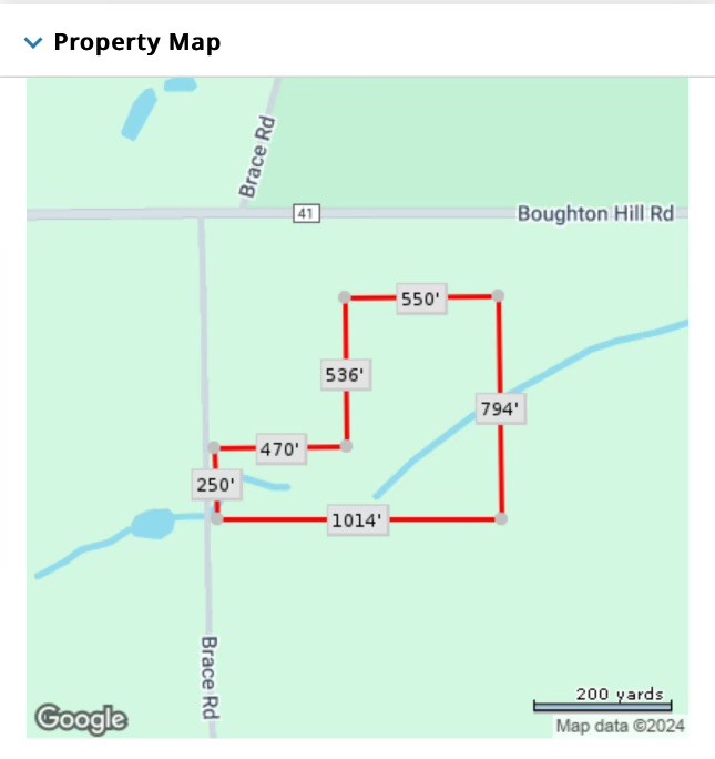 0 Brace Road - 12.9 Acres