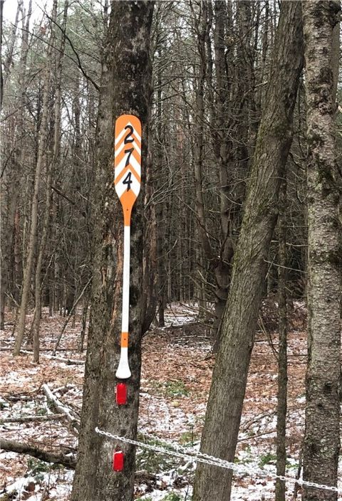 Photo of 274 Bob Wilson Road, Oneonta, NY 13820 (MLS # R1598146)