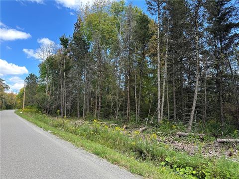Vacant Land For Sale - LOT 9 Mcandrews Rd<br/> Allegany County, Alfred, NY 14806