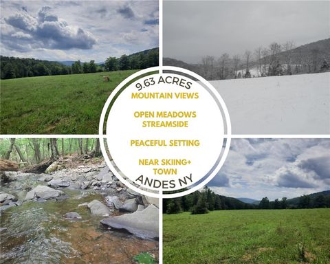 Vacant Land For Sale - TBD Lower Dingle Hill Road<br/> Andes, NY 13731