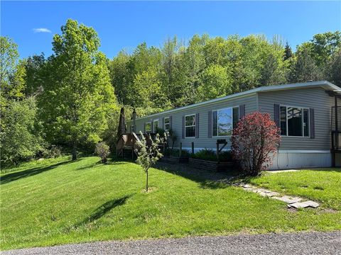 Homes For Sale - 2233 Covert Hollow Road<br/> Delaware County, Hamden, NY 13782