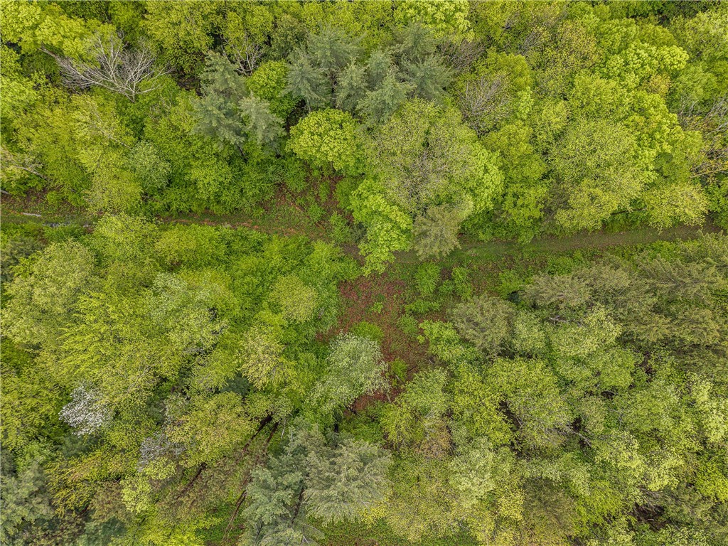 1908 County Route 2, Orwell, New York image 16