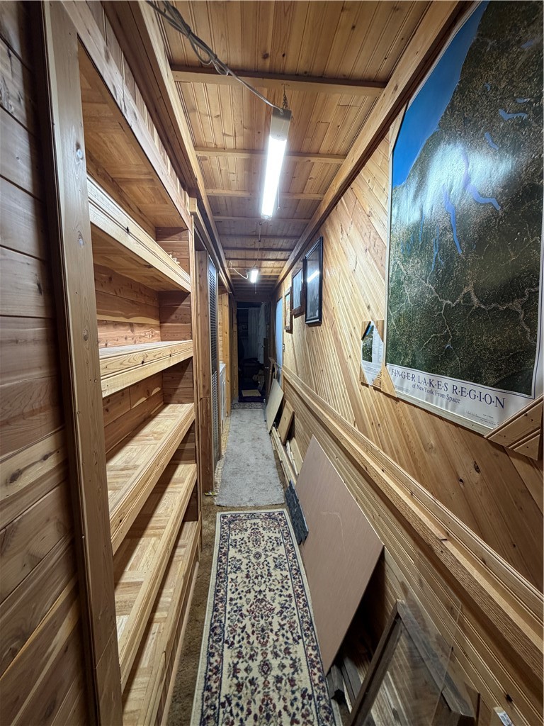 2431 county road 17