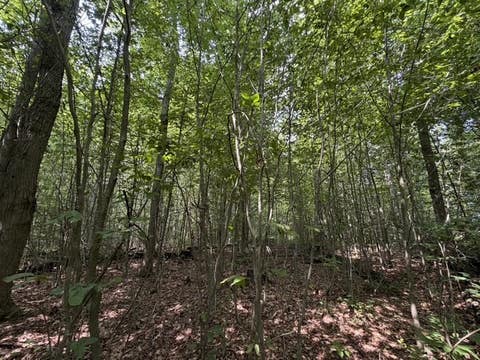 Tiny photo for Busti, NY 14710 (MLS # R1709155)