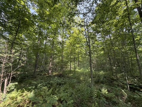 Tiny photo for Busti, NY 14710 (MLS # R1709155)