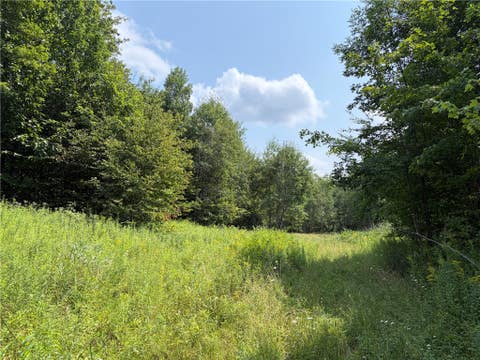 Tiny photo for Busti, NY 14710 (MLS # R1709155)