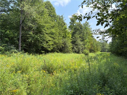 Tiny photo for Busti, NY 14710 (MLS # R1709155)