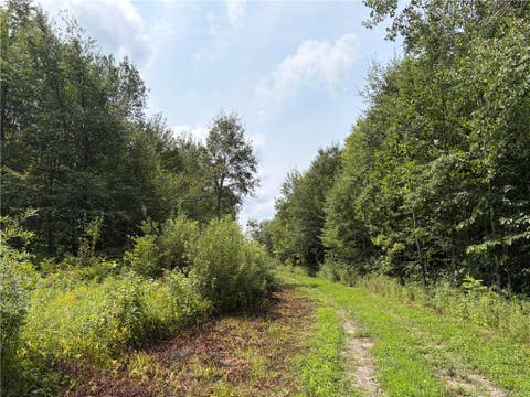 Tiny photo for Busti, NY 14710 (MLS # R1709155)