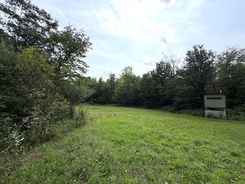 Tiny photo for Busti, NY 14710 (MLS # R1709155)