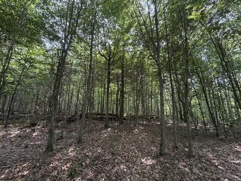 Tiny photo for Busti, NY 14710 (MLS # R1709155)