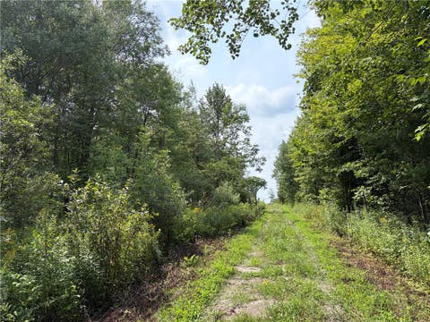 Tiny photo for Busti, NY 14710 (MLS # R1709155)
