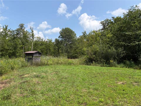 Tiny photo for Busti, NY 14710 (MLS # R1709155)