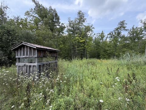 Tiny photo for Busti, NY 14710 (MLS # R1709155)