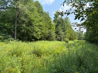 Tiny photo for Busti, NY 14710 (MLS # R1709155)
