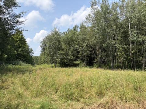 Tiny photo for Busti, NY 14710 (MLS # R1709155)