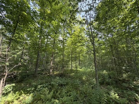 Tiny photo for Busti, NY 14710 (MLS # R1709155)