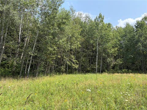Tiny photo for Busti, NY 14710 (MLS # R1709155)