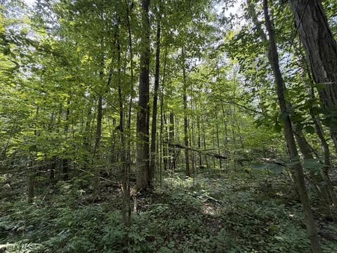 Tiny photo for Busti, NY 14710 (MLS # R1709155)
