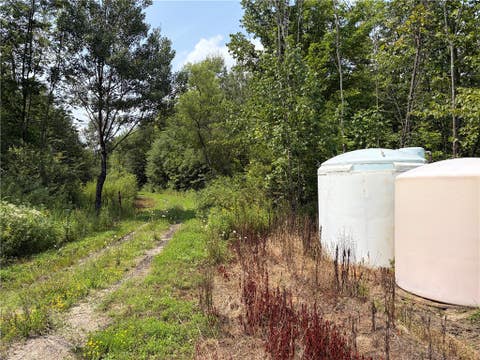 Tiny photo for Busti, NY 14710 (MLS # R1709155)