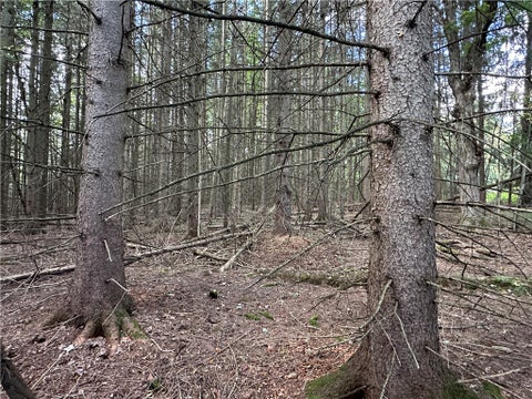 Tiny photo for Lot 7 McAndrews Rd, Alfred, NY 14806 (MLS # R1709373)