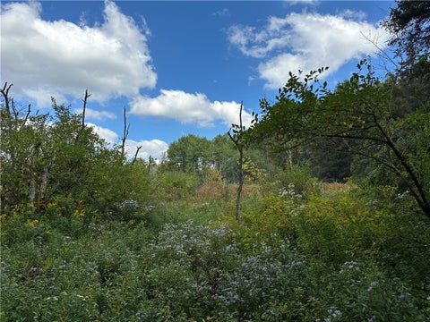 Tiny photo for Lot 7 McAndrews Rd, Alfred, NY 14806 (MLS # R1709373)