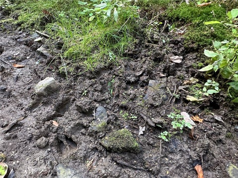 Tiny photo for Lot 7 McAndrews Rd, Alfred, NY 14806 (MLS # R1709373)