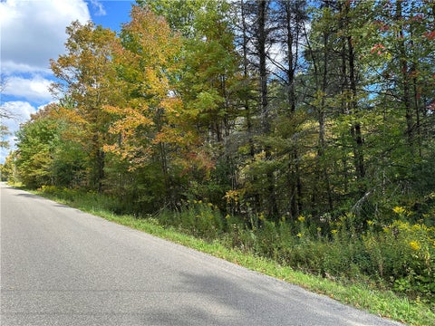 Tiny photo for Lot 7 McAndrews Rd, Alfred, NY 14806 (MLS # R1709373)