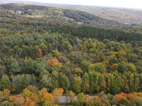 Tiny photo for Lot 7 McAndrews Rd, Alfred, NY 14806 (MLS # R1709373)