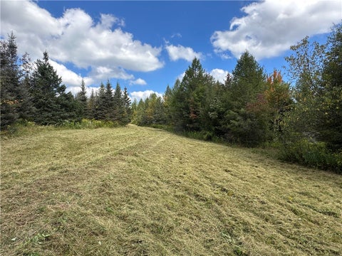 Tiny photo for Lot 7 McAndrews Rd, Alfred, NY 14806 (MLS # R1709373)