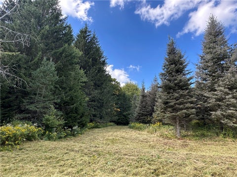 Tiny photo for Lot 7 McAndrews Rd, Alfred, NY 14806 (MLS # R1709373)