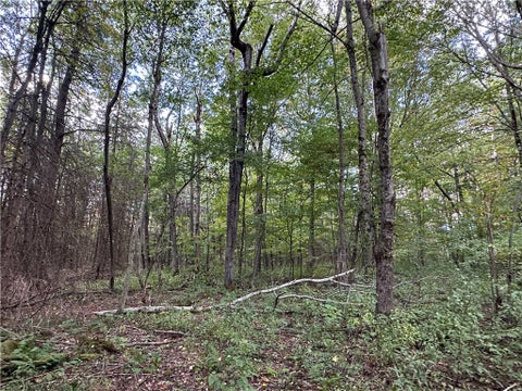 Tiny photo for Lot 7 McAndrews Rd, Alfred, NY 14806 (MLS # R1709373)