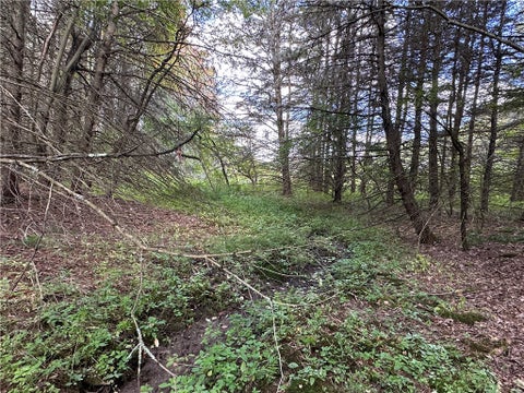 Tiny photo for Lot 7 McAndrews Rd, Alfred, NY 14806 (MLS # R1709373)