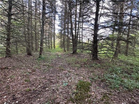 Tiny photo for Lot 7 McAndrews Rd, Alfred, NY 14806 (MLS # R1709373)