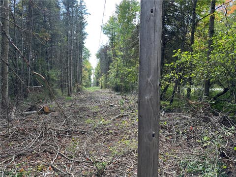 Tiny photo for Lot 7 McAndrews Rd, Alfred, NY 14806 (MLS # R1709373)