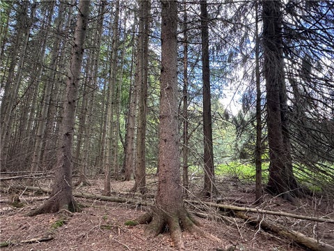 Tiny photo for Lot 7 McAndrews Rd, Alfred, NY 14806 (MLS # R1709373)