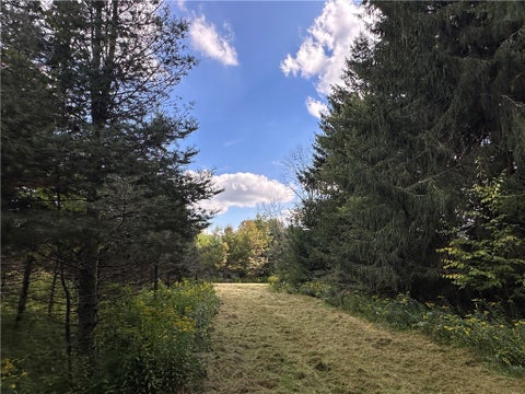 Tiny photo for Lot 7 McAndrews Rd, Alfred, NY 14806 (MLS # R1709373)