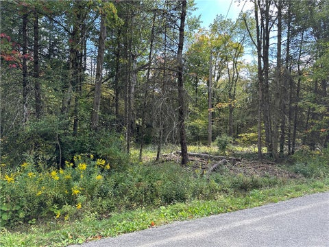 Photo of Lot 7 McAndrews Rd, Alfred, NY 14806 (MLS # R1709373)