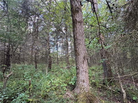 Tiny photo for Lot 7 McAndrews Rd, Alfred, NY 14806 (MLS # R1709373)
