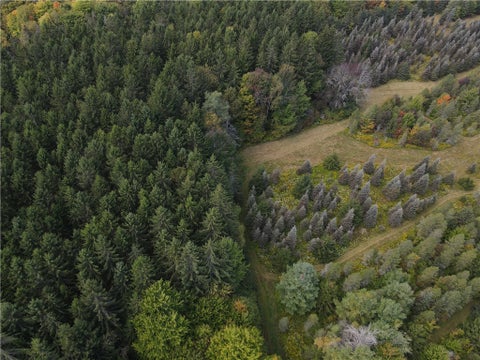 Tiny photo for Lot 7 McAndrews Rd, Alfred, NY 14806 (MLS # R1709373)