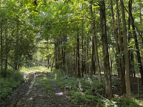 Tiny photo for VL & 7690 Banks Road, Pike, NY 14066 (MLS # R1694037)