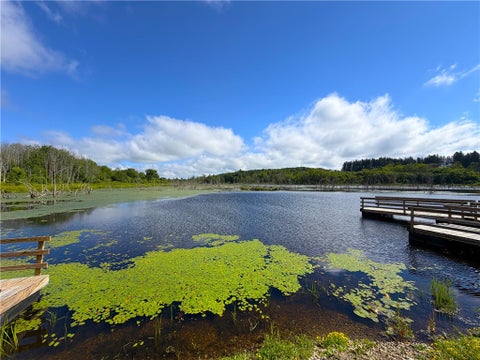 Tiny photo for VL & 7690 Banks Road, Pike, NY 14066 (MLS # R1694037)