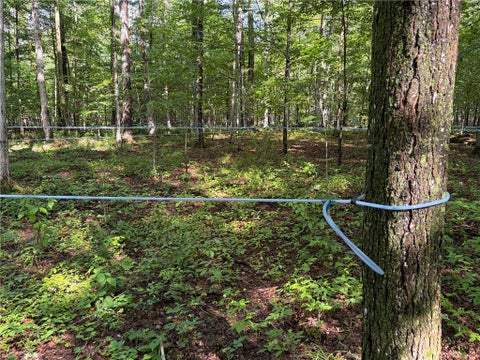 Tiny photo for VL & 7690 Banks Road, Pike, NY 14066 (MLS # R1694037)