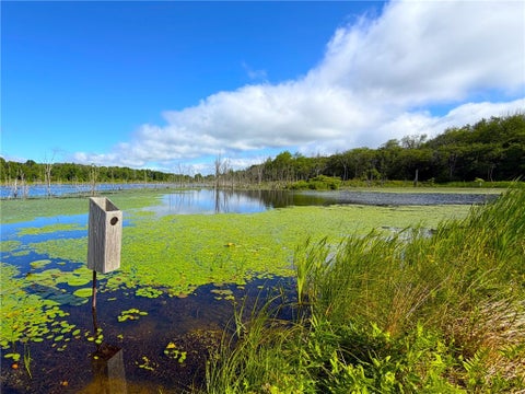 Tiny photo for VL & 7690 Banks Road, Pike, NY 14066 (MLS # R1694037)