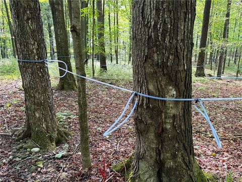 Tiny photo for VL & 7690 Banks Road, Pike, NY 14066 (MLS # R1694037)