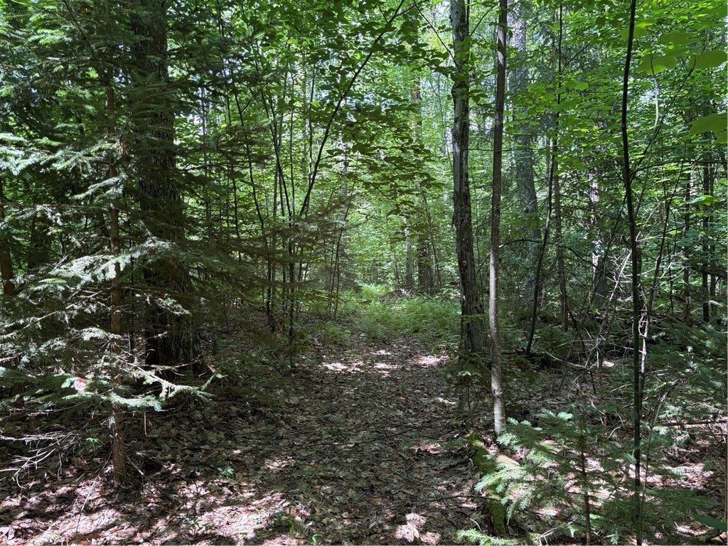 Photo of (0) Ericson Lane, Blenheim, NY 12093 (MLS # R1702470)