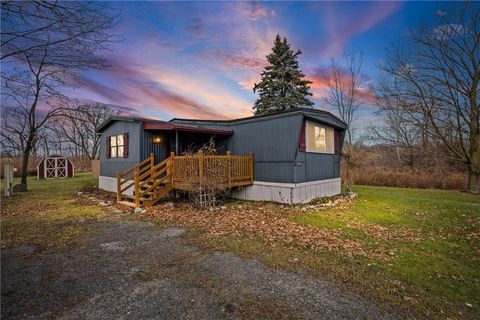 1196 County Road 23 Road Phelps NY 14532