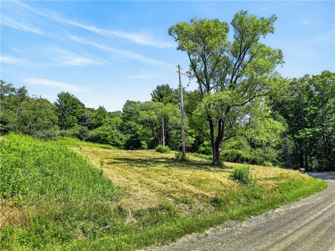 Vacant Land For Sale - 407 Reniff Road<br/> Baldwin, NY 14859