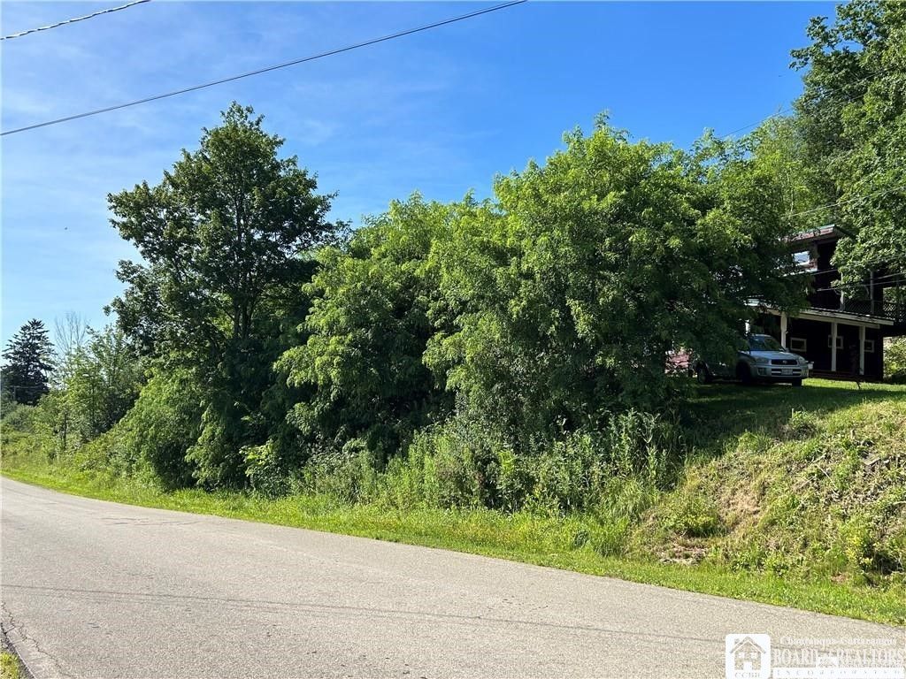 Photo of 256 Bragg Road, Carroll, NY 14738 (MLS # R1678022)