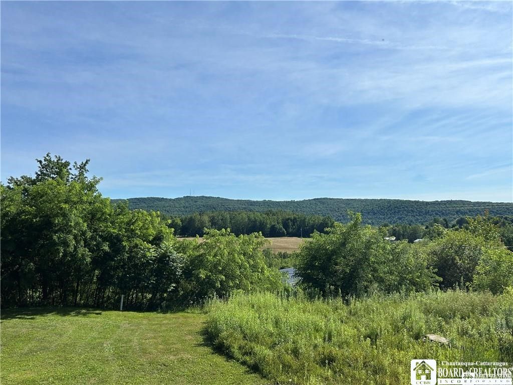 Photo of 256 Bragg Road, Carroll, NY 14738 (MLS # R1678022)